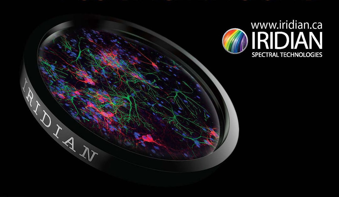 Check Back Later for Future Events