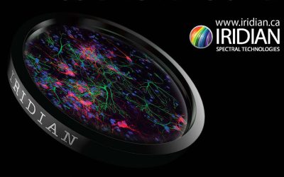 Check Back Later for Future Events